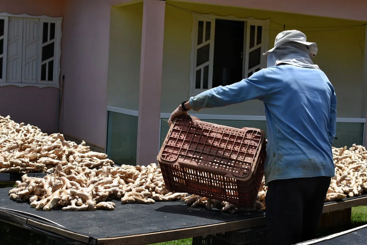 Exportações do agronegócio do ES crescem 20% e chegam a R$ 5,8 bilhões em 2023