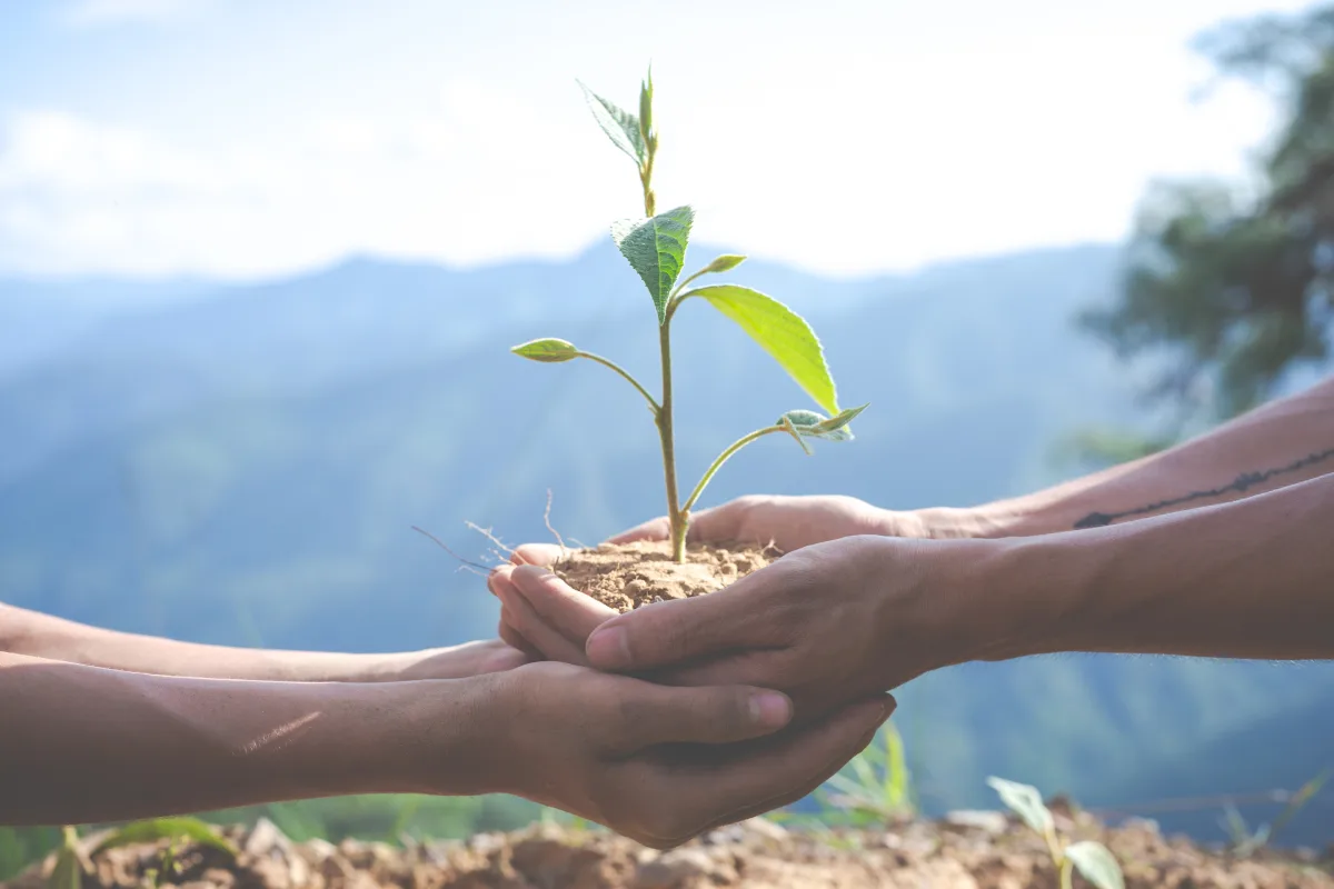 Impactos das mudanças climáticas no agronegócio serão discutidos em Vitória