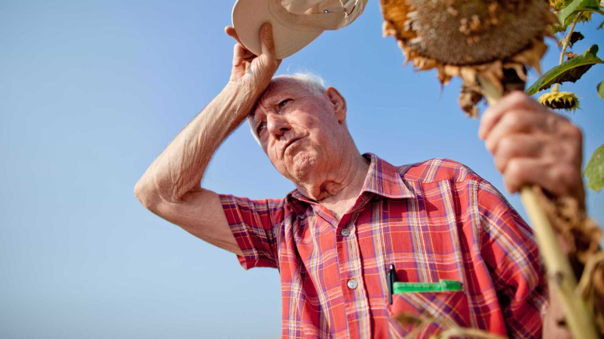 Idosos ficam mais vulneráveis à problemas de saúde no verão; veja os riscos da alta temperatura