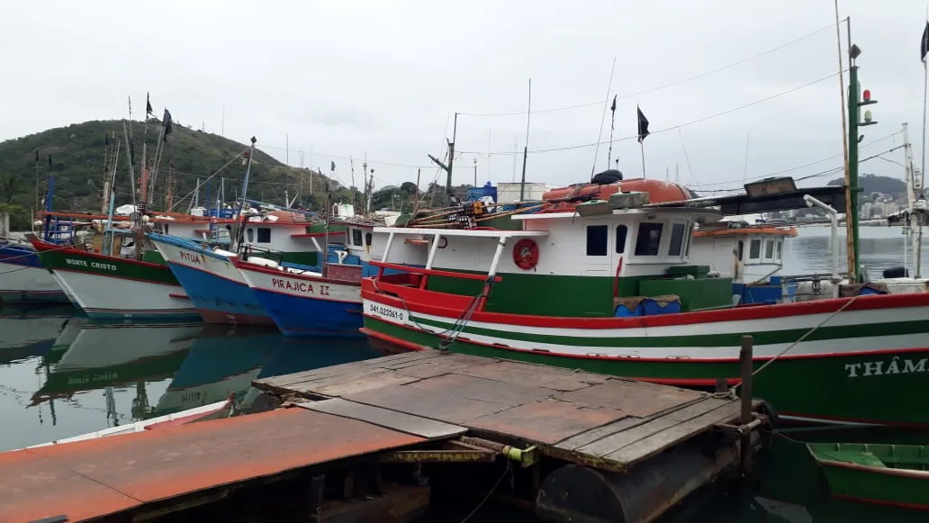 Mais de 10 toneladas de peixes são recolhidas pelo Ibama em Vila Velha