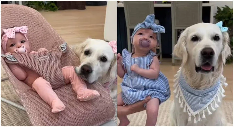 Casal veste cachorra e filha com looks combinando e viraliza; veja fotos