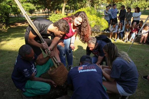 Foto: Divulgação/DINO 