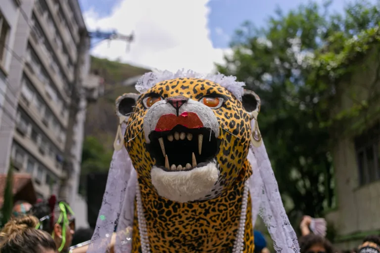 Festa do Bloco Amigos da Onça acontece neste sábado no Centro de Vitória