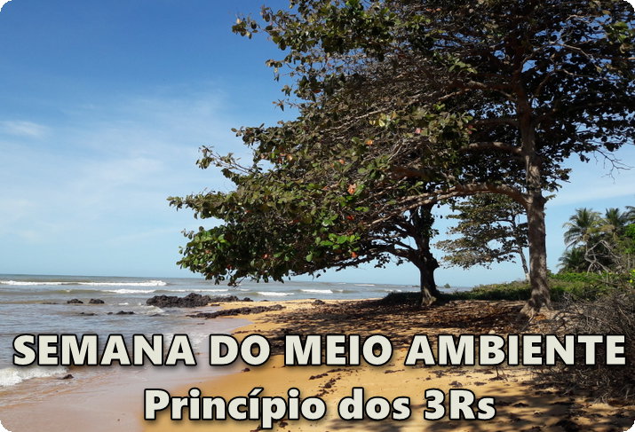 O PRINCÍPIO DOS 3Rs PARA O CONSUMO CONSCIENTE - Semana do Meio Ambiente