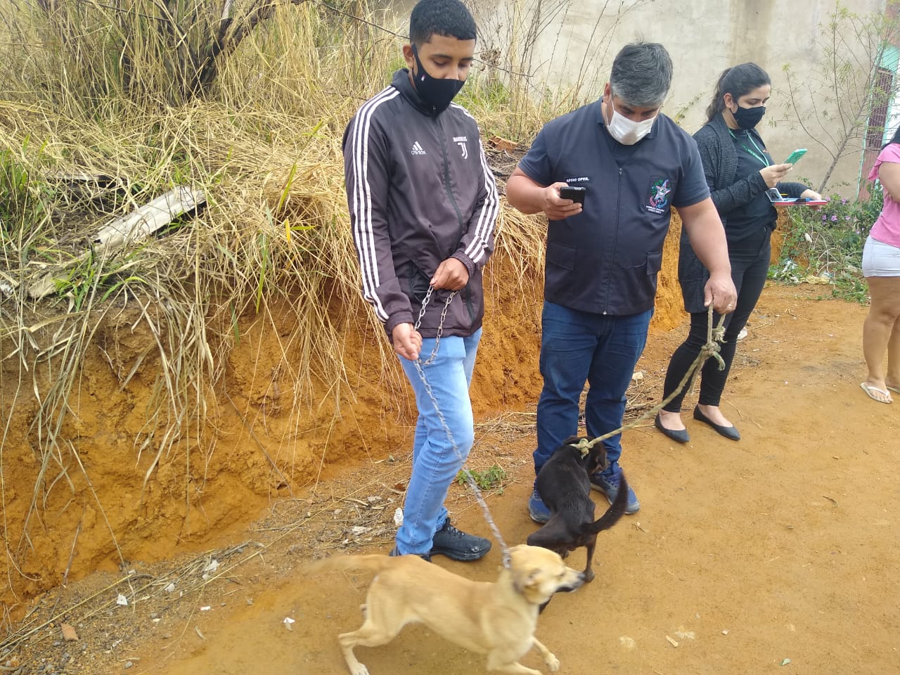 Mulher é presa após ser denunciada por maus-tratos a animais em Viana