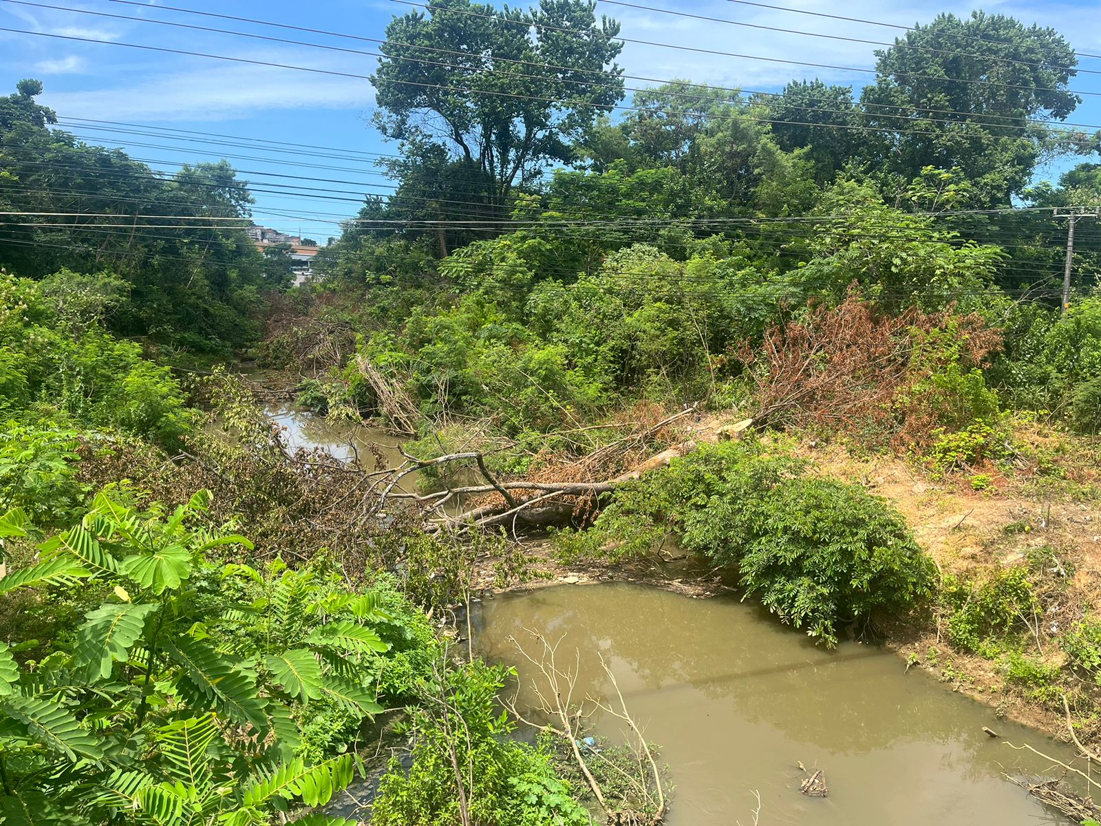 Foto: Iures Wagmaker / Folha Vitória