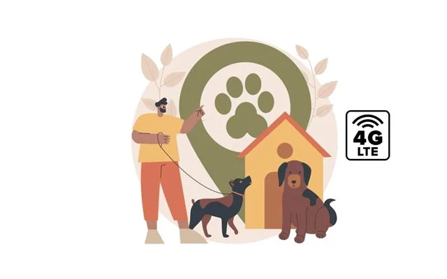 Tecnologia 4G oferece auxílio na localização de pets perdido