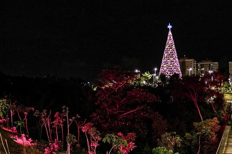 Mais de 120 mil pessoas já visitaram a terceira maior árvore de Natal do Brasil na Serra