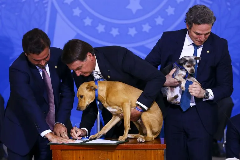 O presidente Jair Bolsonaro sanciona o projeto de lei (PL 1.095/2019) que aumenta pena para crimes de maus-tratos a animais.