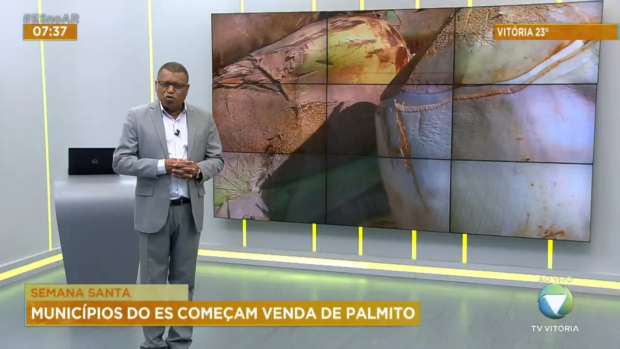 Municípios do ES começam a venda de palmito