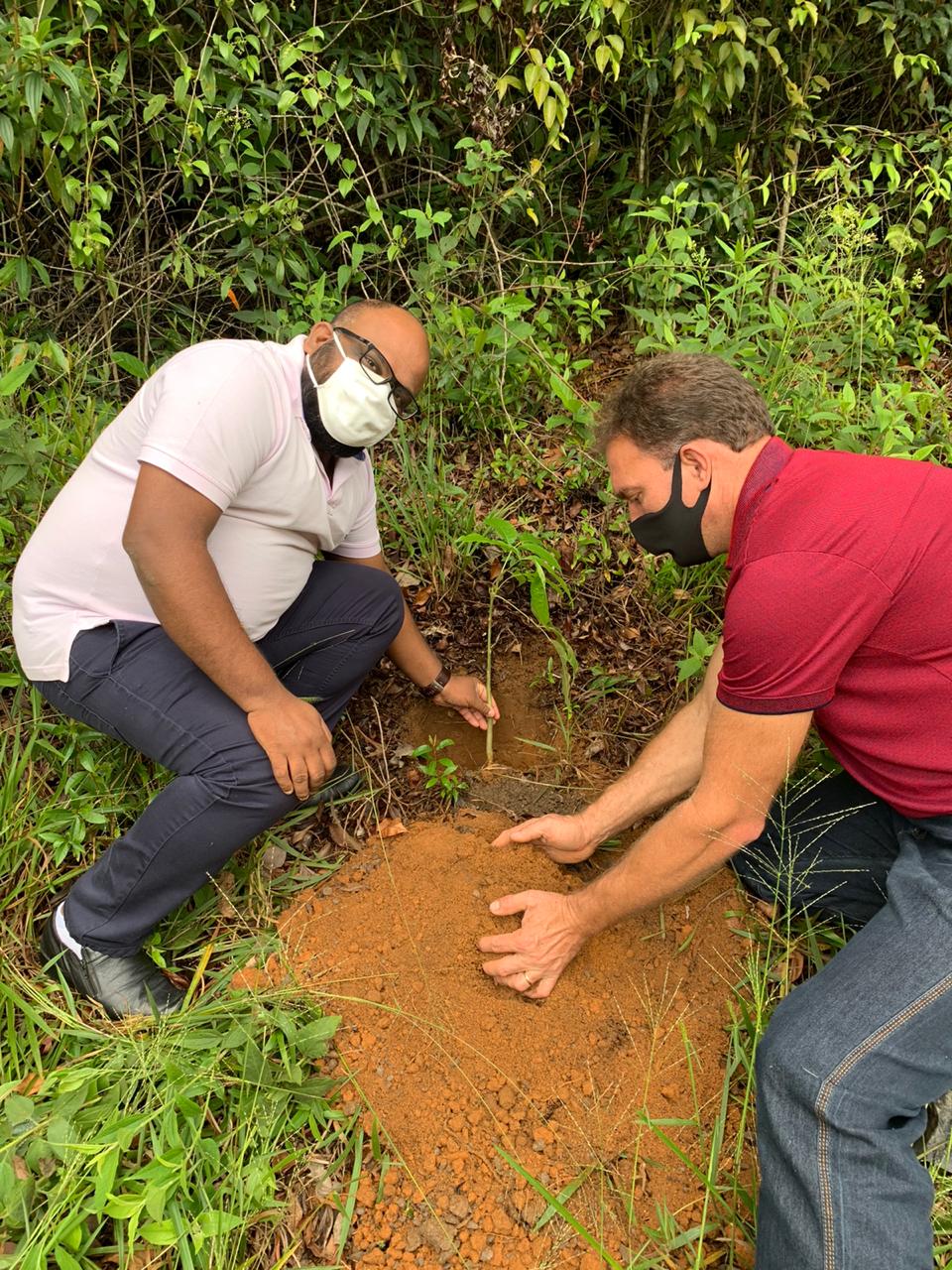 Comunidade de Santa Isabel, em Domingos Martins, distribui 40 mudas de árvores no dia de Finados