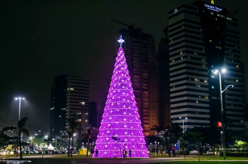 Árvore de Natal iluminada na Praça do Papa