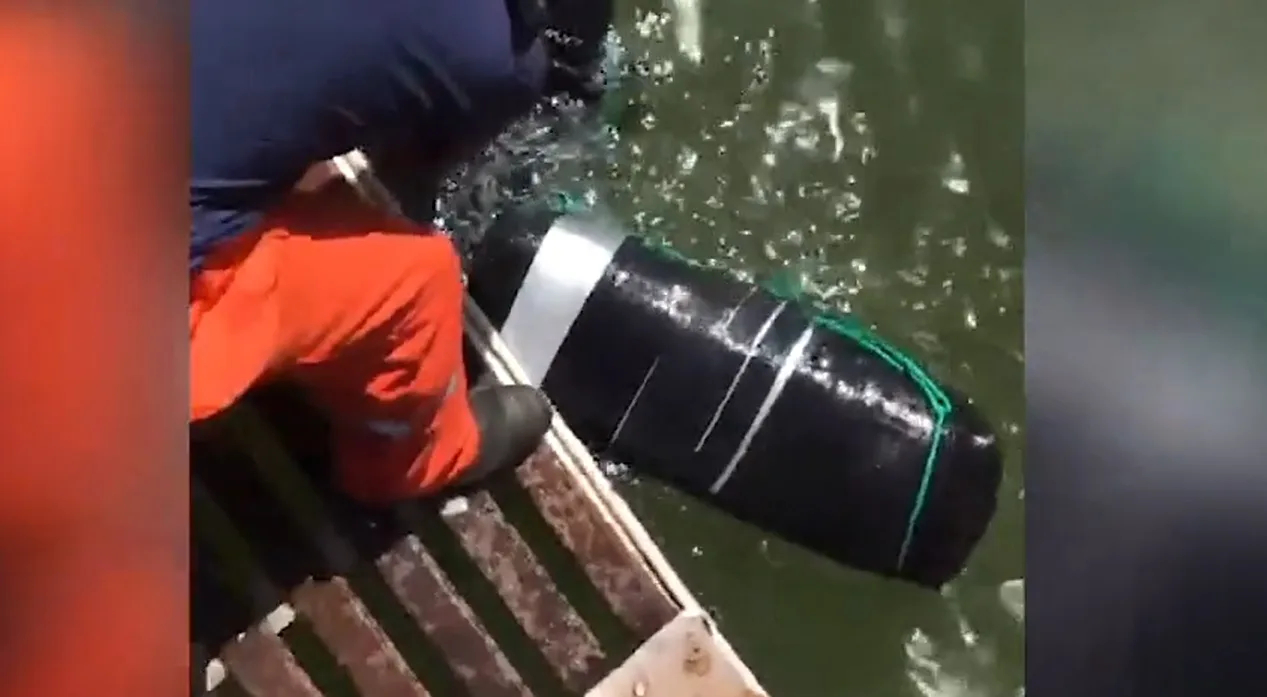 VÍDEO | Avaliada em R$ 5,5 milhões: cocaína encontrada em navio no ES seria enviada para a Holanda