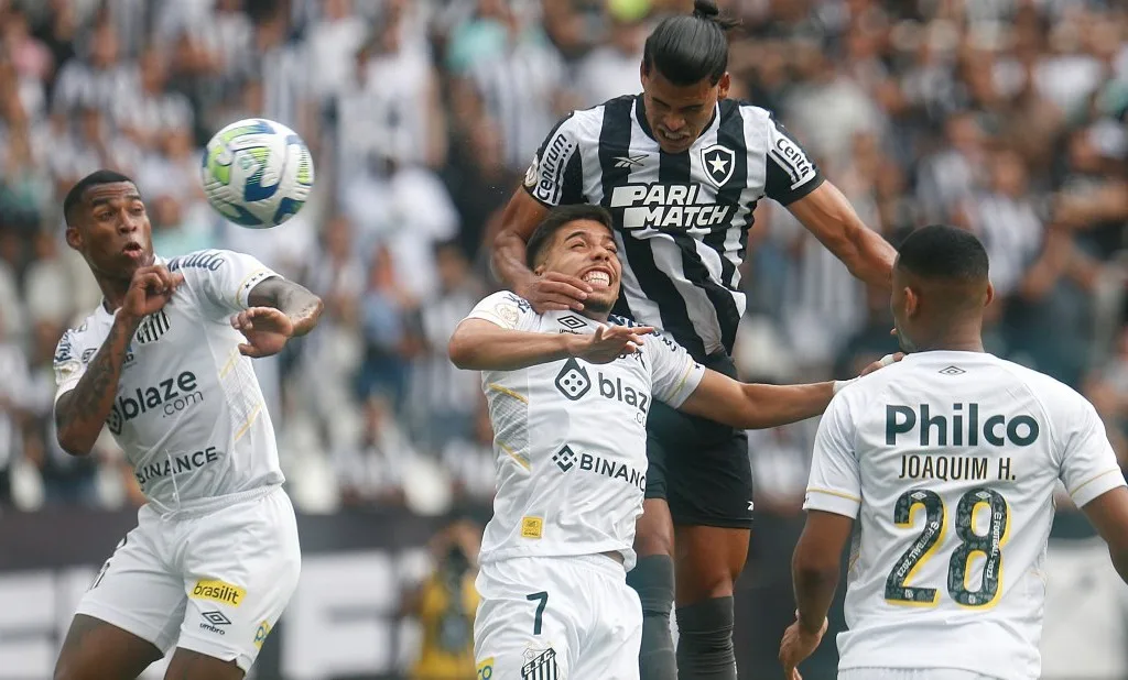 Foto: Botafogo/Divulgação