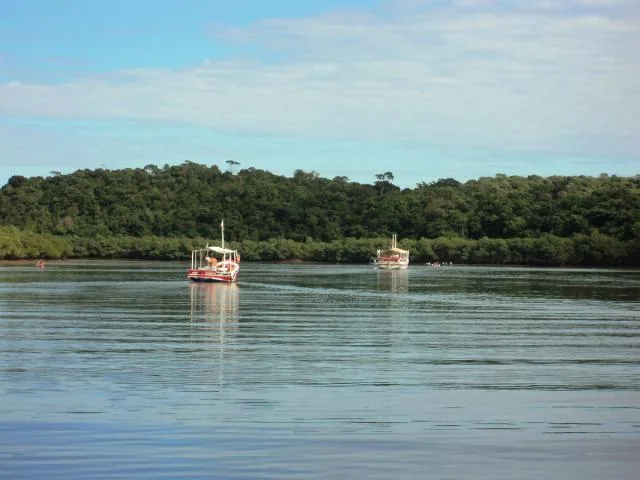 Mutirão de limpeza em Reserva de Guarapari no domingo