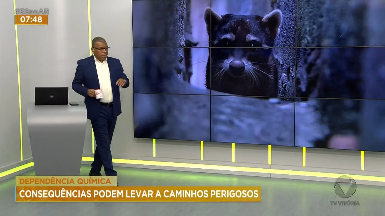 Animal silvestre continua vivendo em quintal de casa