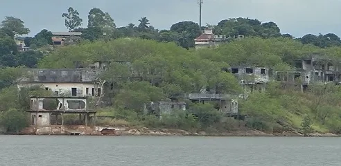 Corpo de homem é encontrado com marcas de tiros e mãos amarradas em ilha na GV