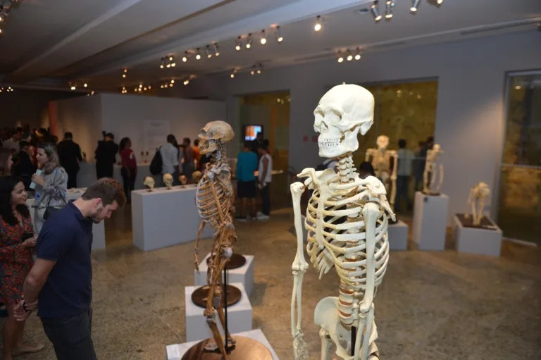 Palácio Anchieta: exposição desvenda mistérios do corpo humano