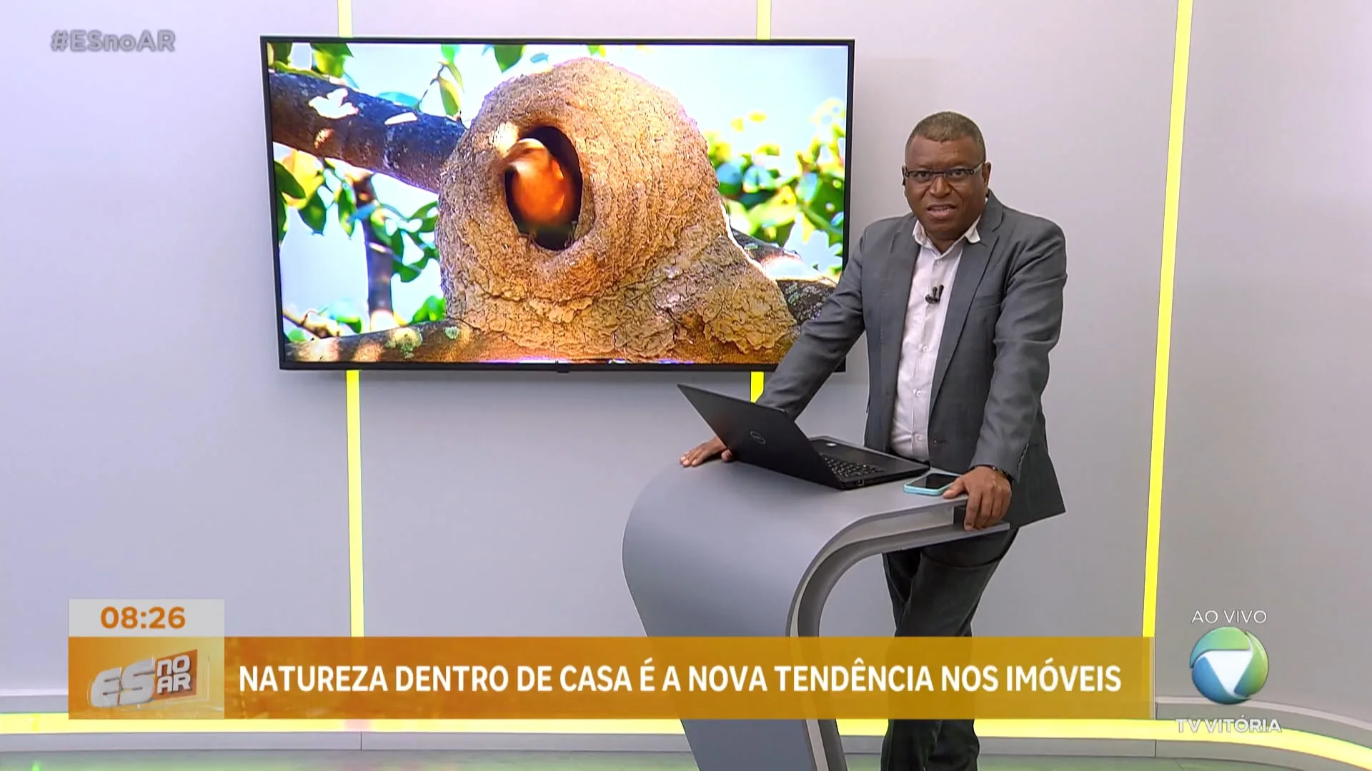 Natureza dentro de casa é a nova tendência de imóveis