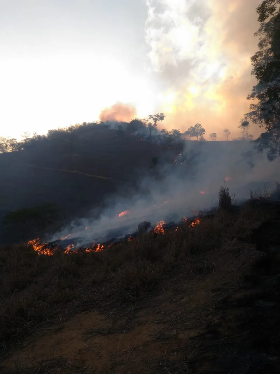 Bombeiros combatem incêndios na área rural de Colatina