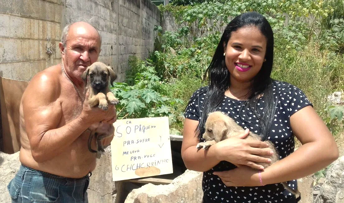 Moradores improvisam placas para ajudar filhotes abandonados em Vitória