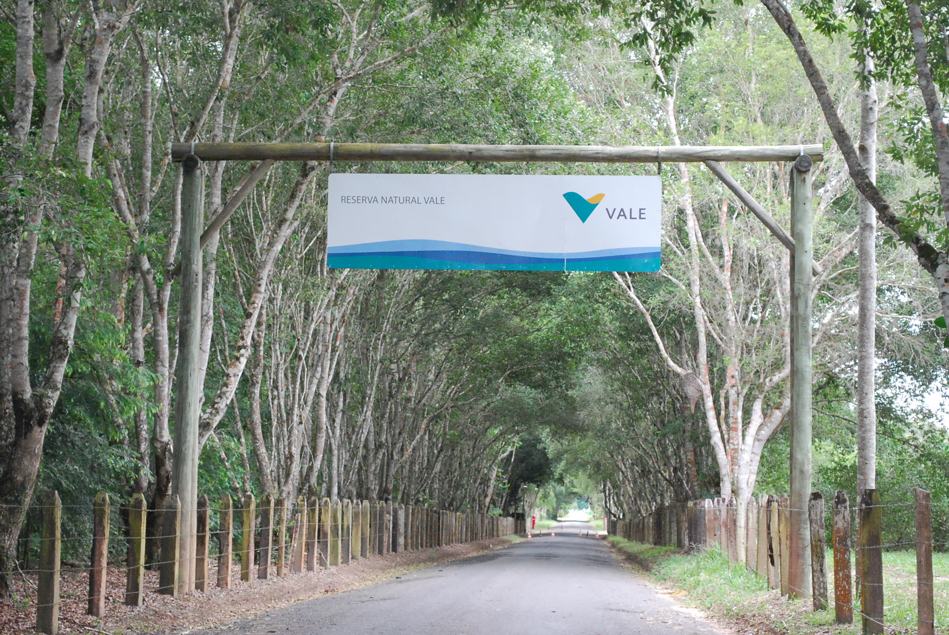 Corrida na floresta: Meia Maratona do Verde e das Águas com percursos de 21k, 10k e 5k em Linhares