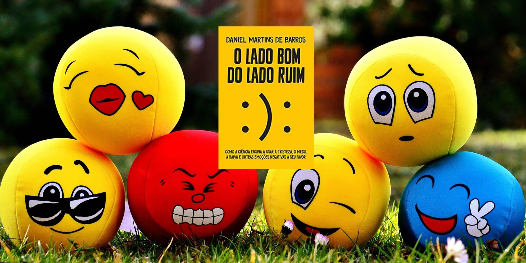 Resenha: O lado bom do lado ruim - Daniel Martins de Barros