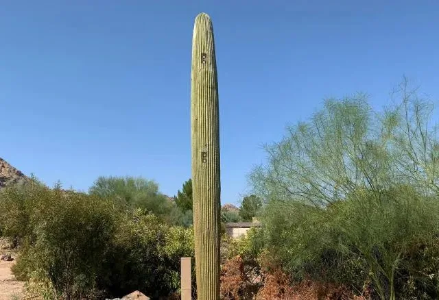 Mistério: após "antena coqueiro" na Pedra Azul, ES, "cacto 5G" aparece