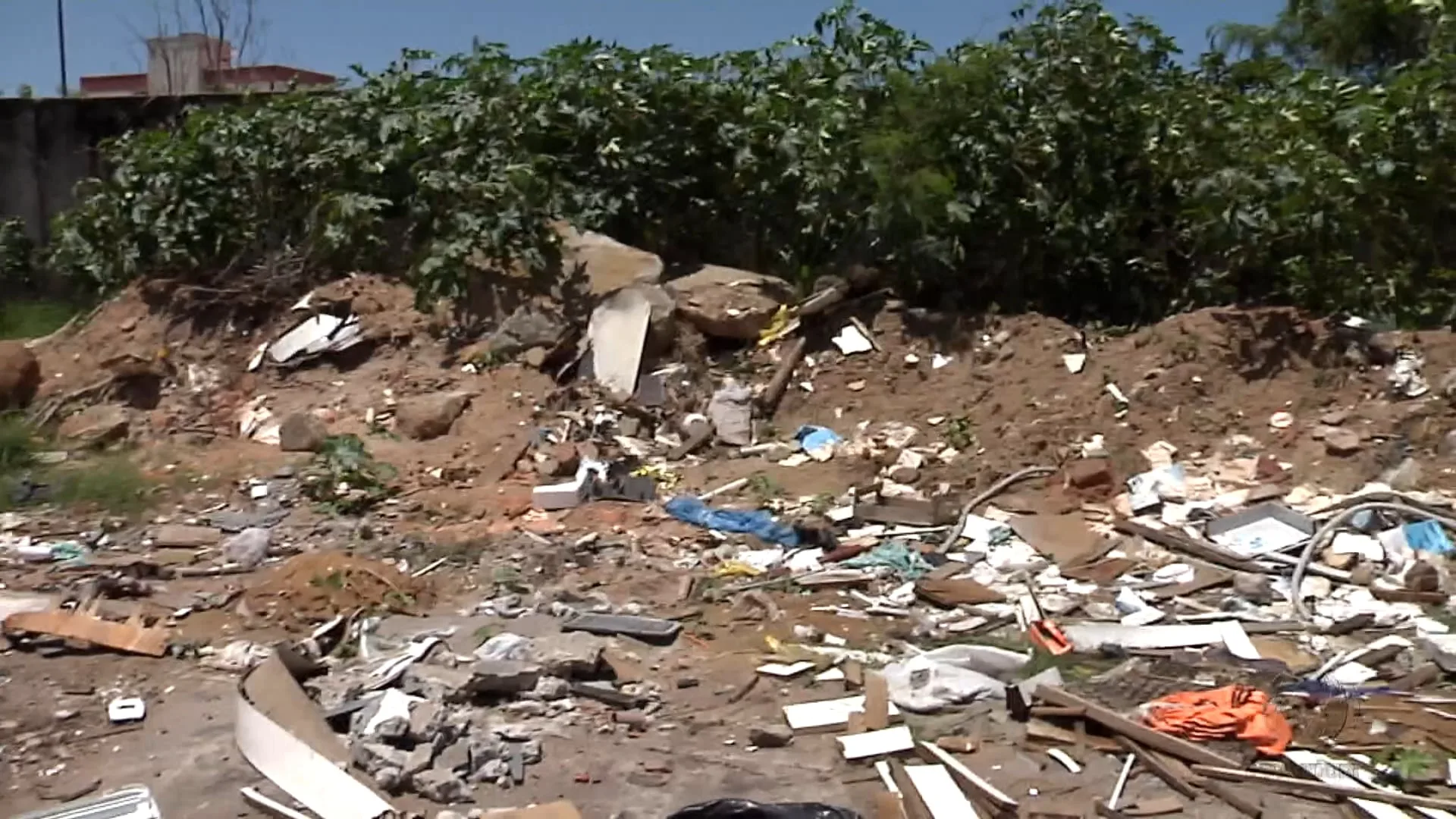 Flagrante: carroceiros fazem extração ilegal de areia em Vila Velha