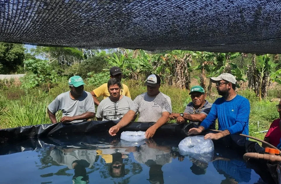 Aquaponia: projeto incentiva produção de peixes e hortaliças em Aracruz