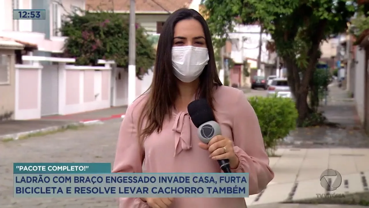 Ladrão com braço engessado invade casa, furta bicicleta e leva cachorro da família