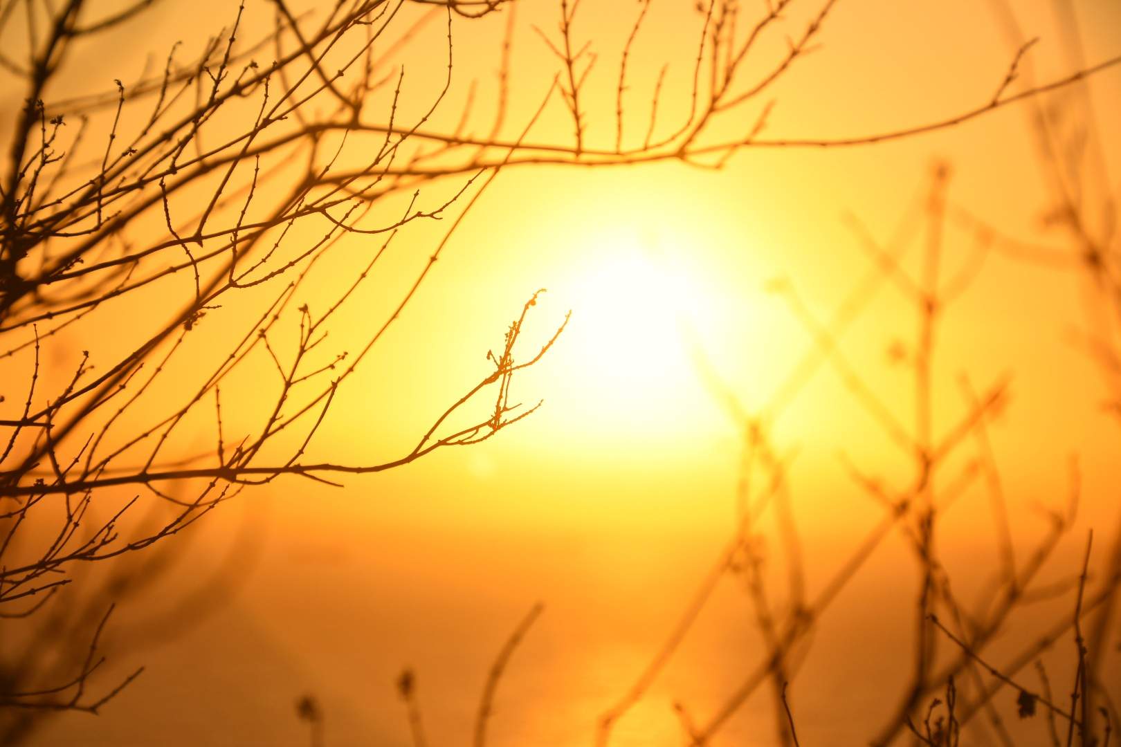 Mudanças Climáticas Exigem Ação Coletiva