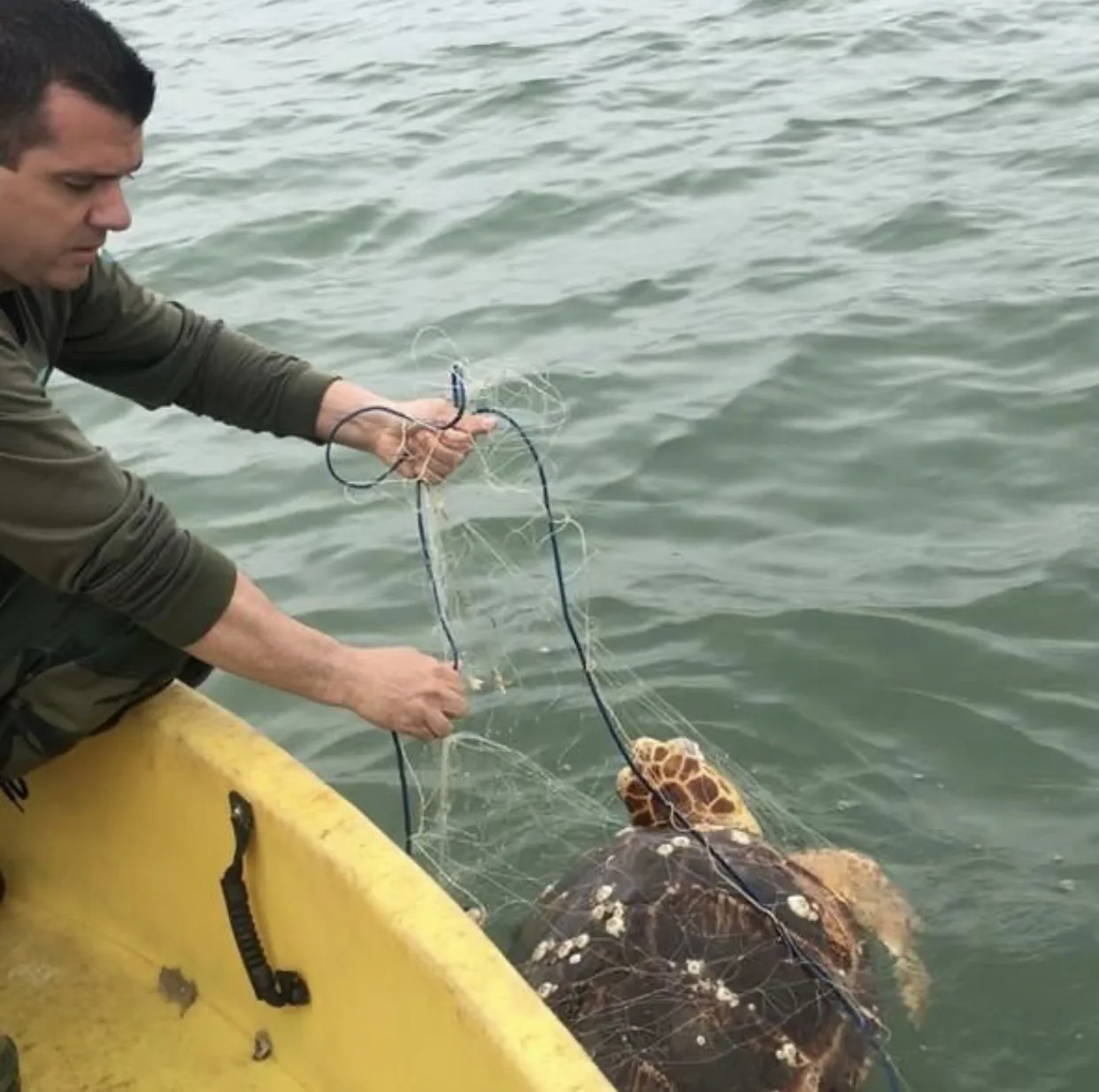 Pesca ilegal é um grave problema na Baía de Vitória