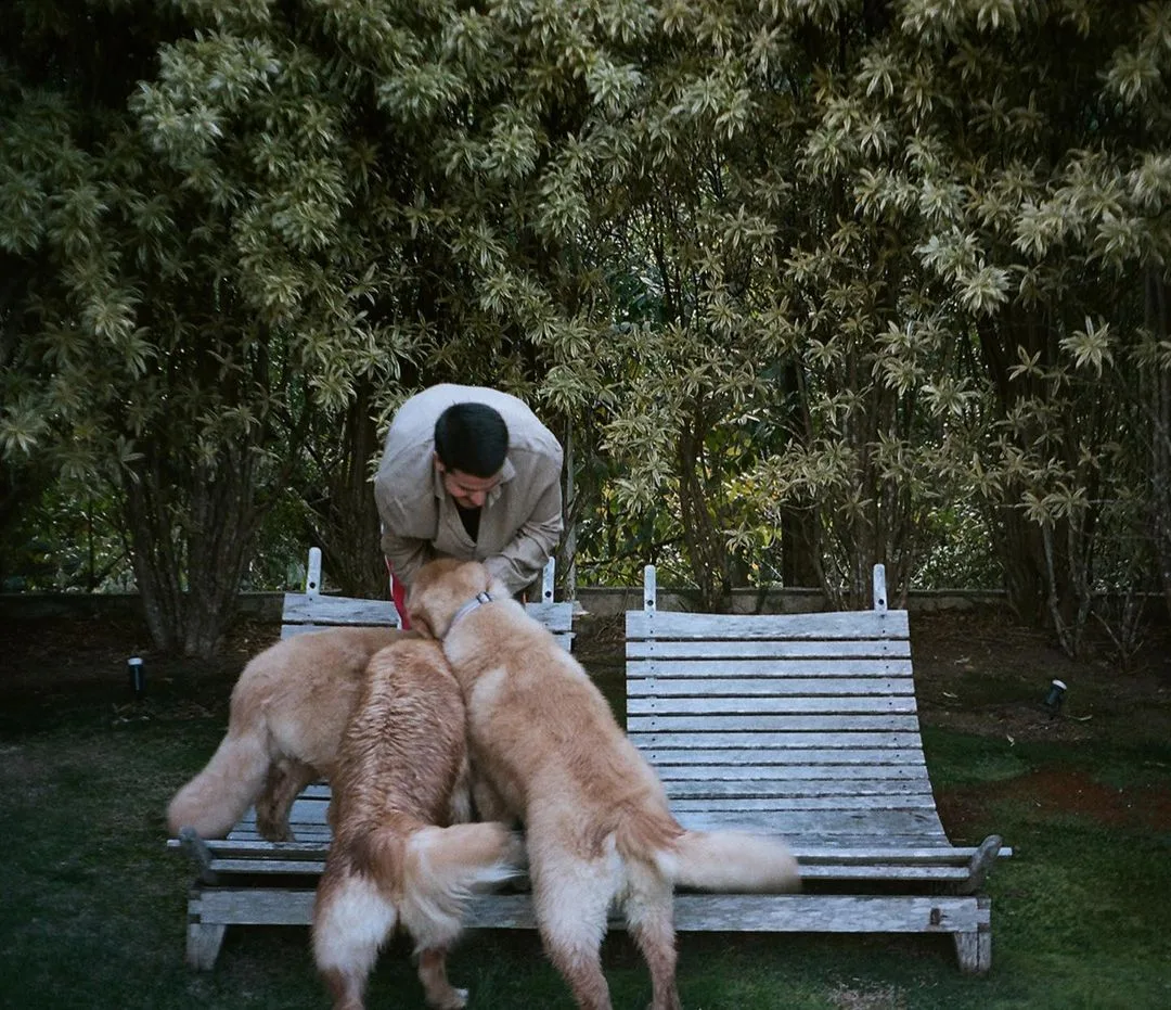 Enzo Celulari publica foto com cachorros e internautas disparam: 'Casa da Bruna Marquezine'