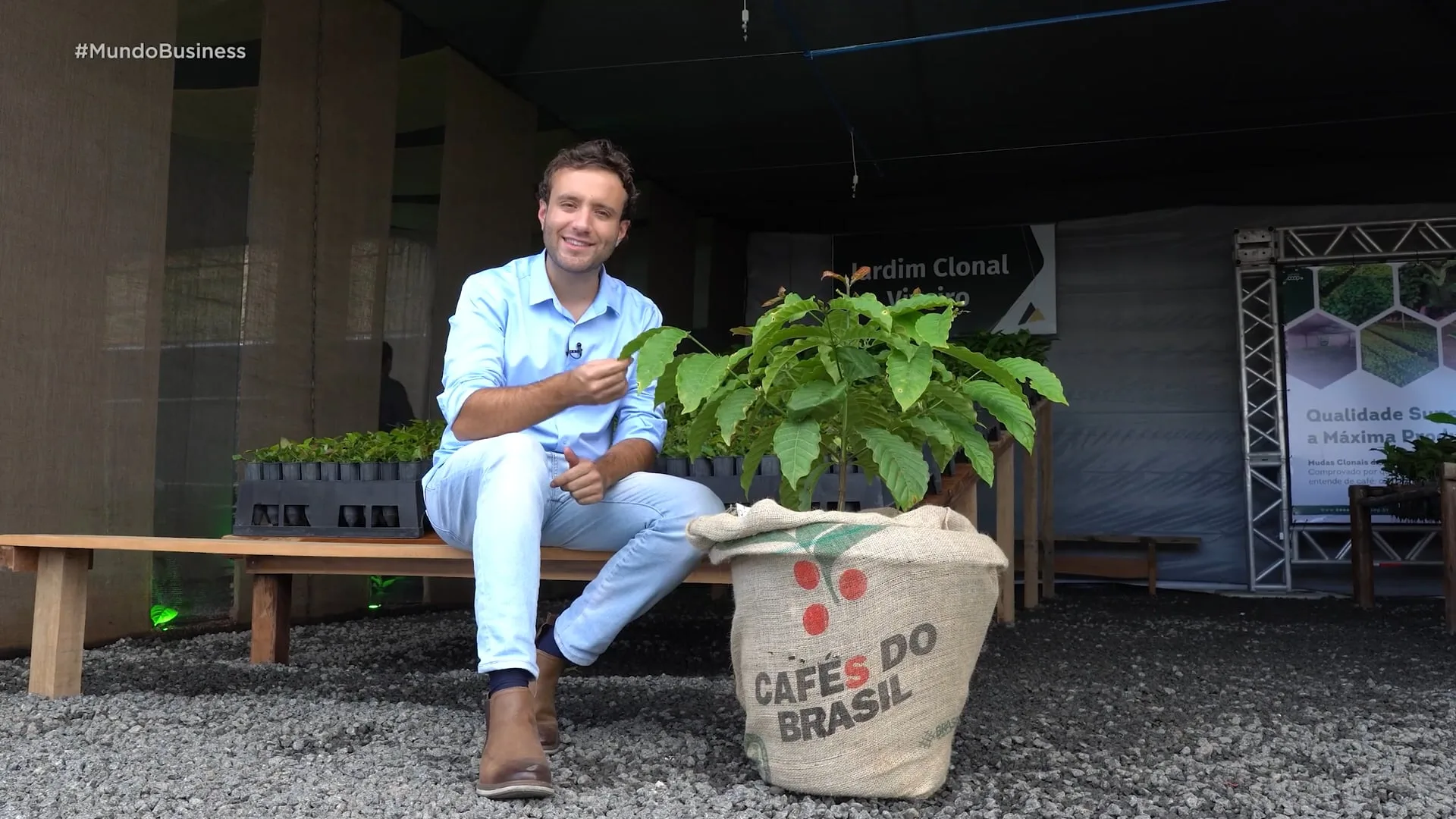 Café conilon especial no norte do Espírito Santo