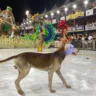 Foto: Thiago Soares/ Folha Vitória