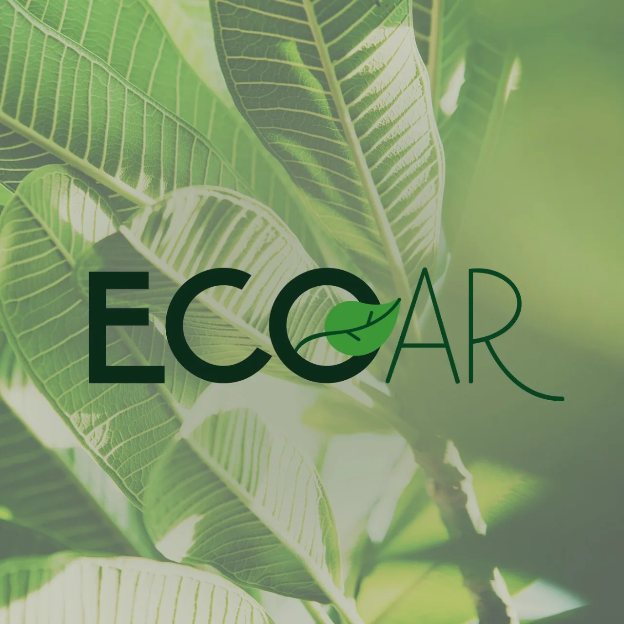 Ecoar_podcast: conheça a importância dos parques nas áreas urbanas