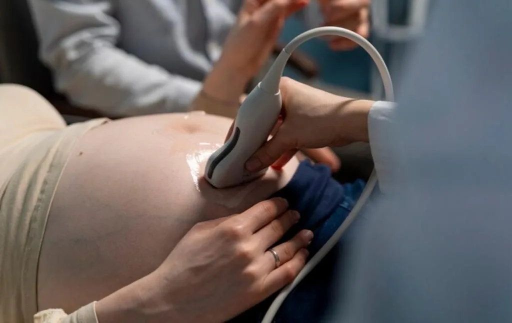 VÍDEO | Comer placenta, como Mendigata e Fernanda Lima, não ajuda a saúde; entenda