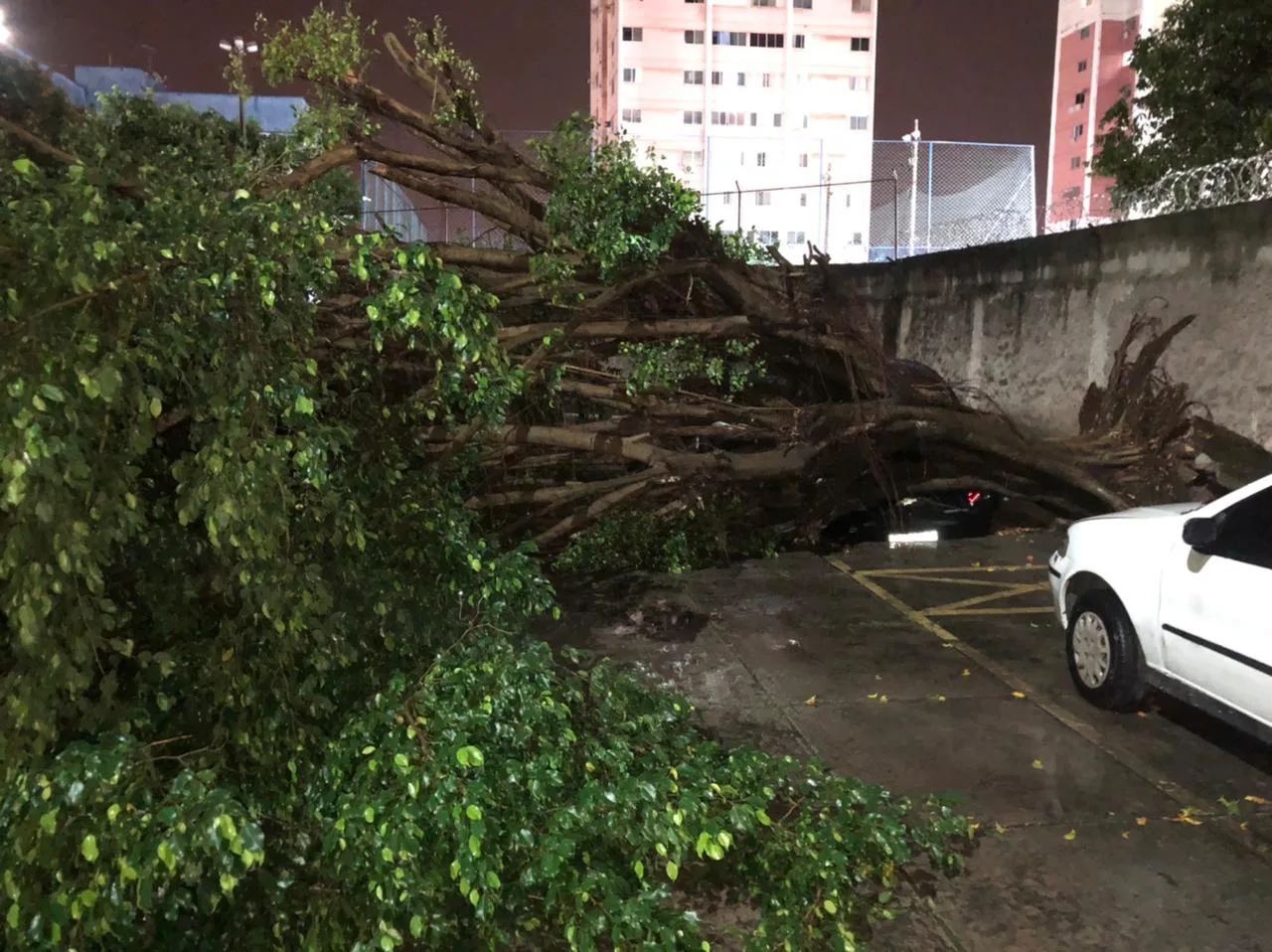 Grande Vitória está em alerta para deslizamentos de terra; temporal deixou 18 desalojados