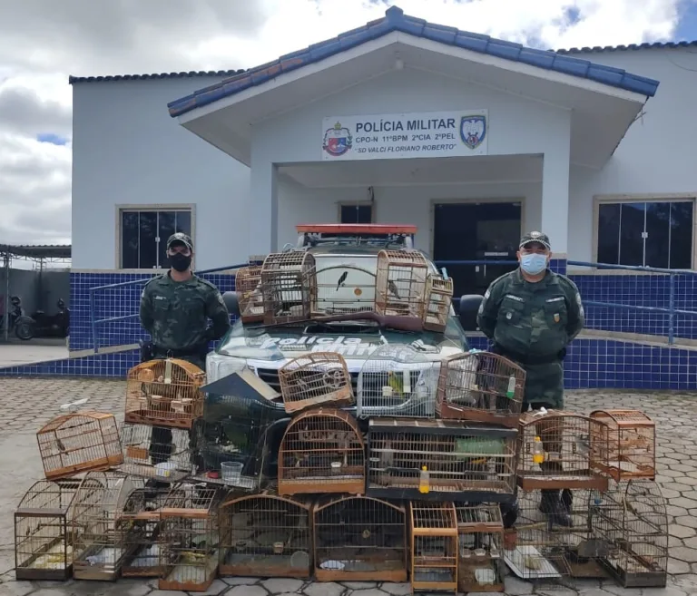 Mais de 20 animais silvestres são resgatados de cativeiro no interior do Espírito Santo