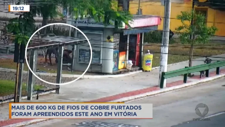 Cerca de 600 quilos de fios furtados foram apreendidos em Vitória
