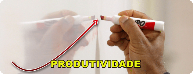 A Visão da Produtividade - Enfrentando os desafios