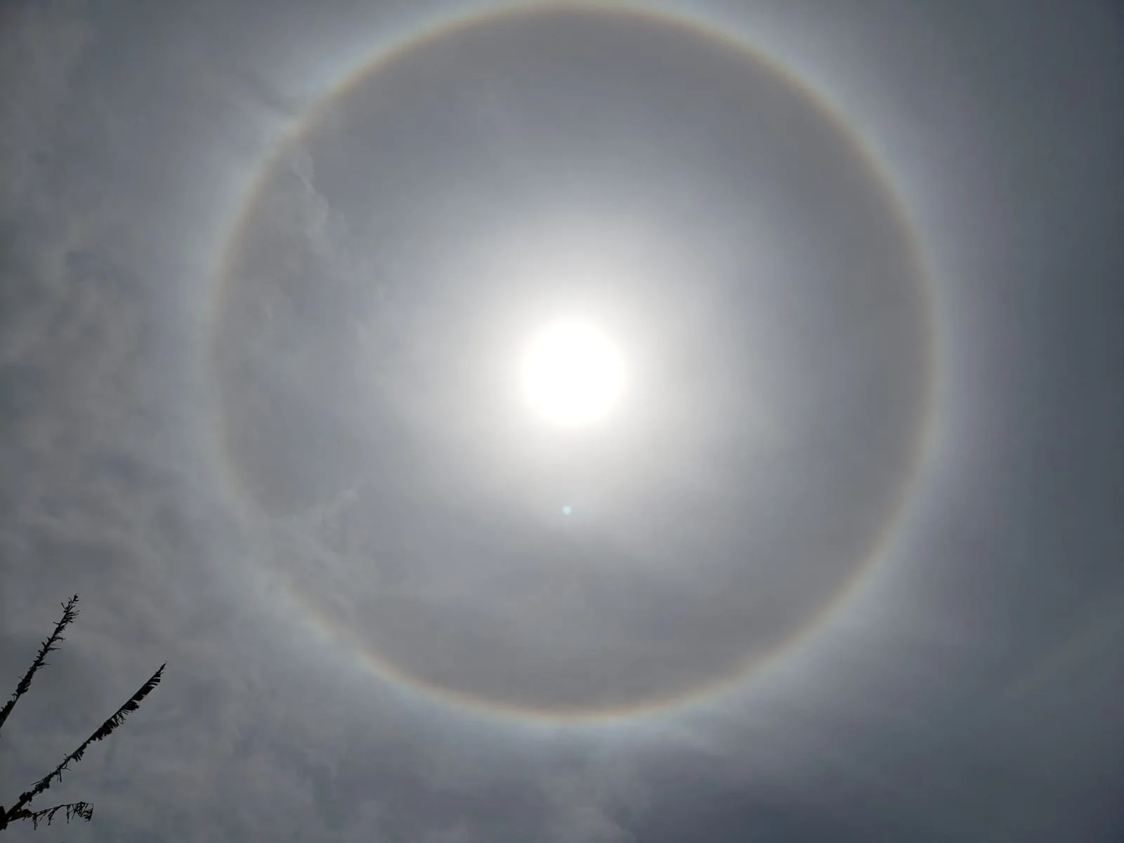 "Arco-íris" ao redor do sol chama a atenção na Grande Vitória; entenda o fenômeno