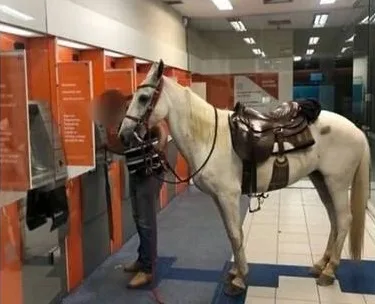 Homem entra com cavalo em agência para sacar dinheiro e imagem viraliza. Veja!