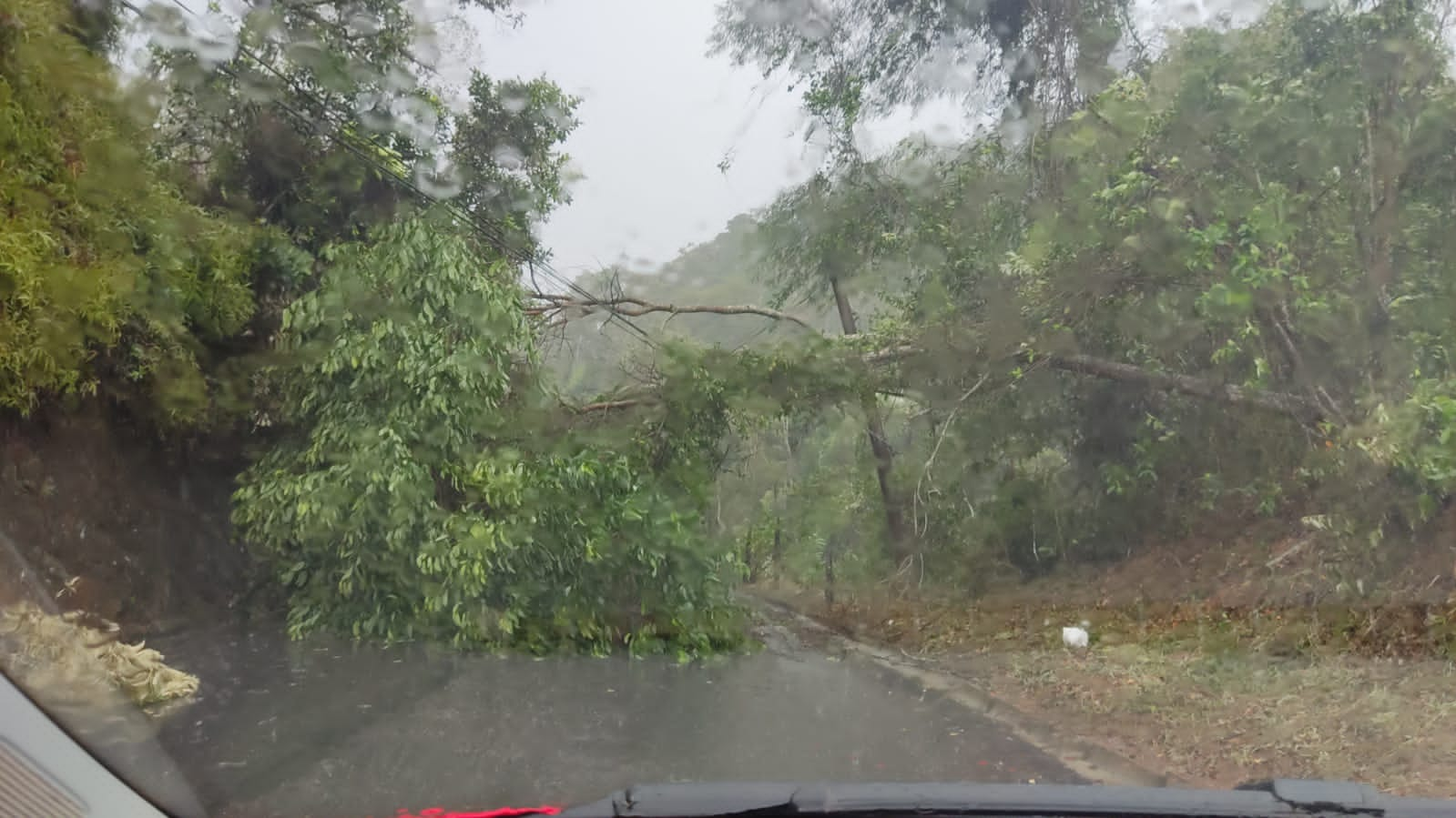 VÍDEO | Chuva de granizo causa estragos em Domingos Martins