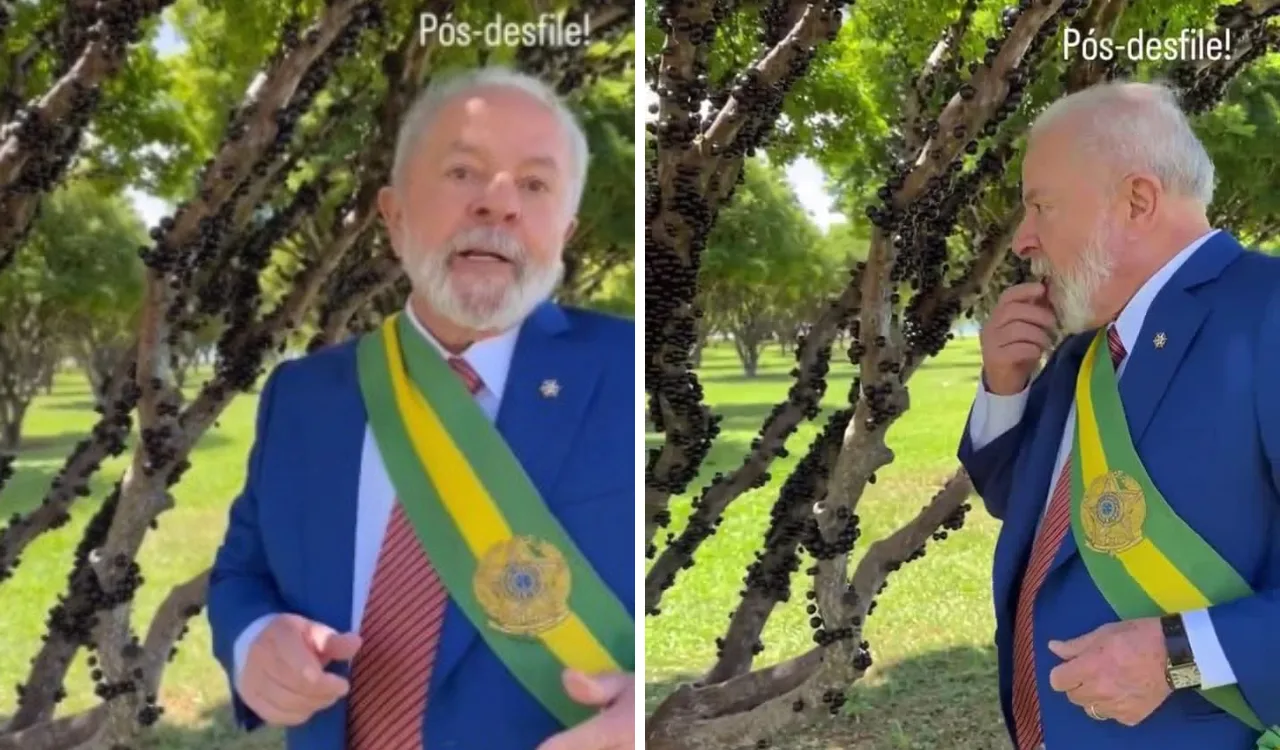 VÍDEO | Após desfile, Lula come jabuticaba de árvore plantada por ele há 16 anos