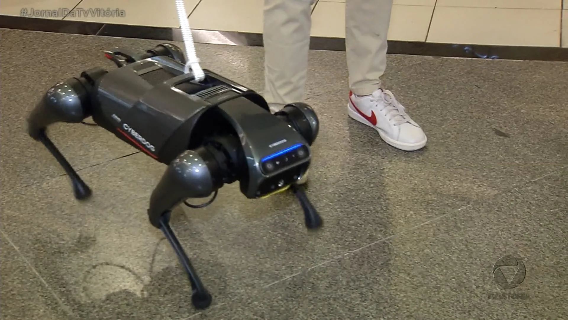 Cão robô rouba a cena passeando por shopping em Vitória