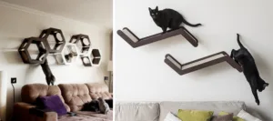 adaptar casa para gato