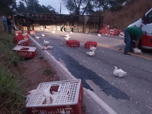 VÍDEO | Frangos ficam espalhados na pista após acidente com caminhão em Castelo