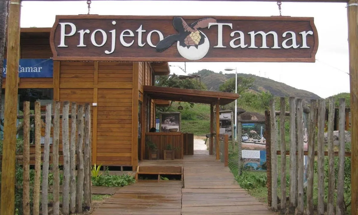 Projeto Tamar é opção para o carnaval